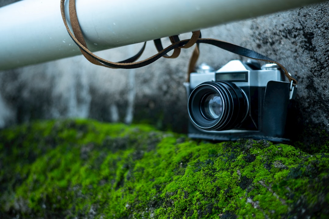 Capturing Moments: A Guide to Essential Photography Equipments